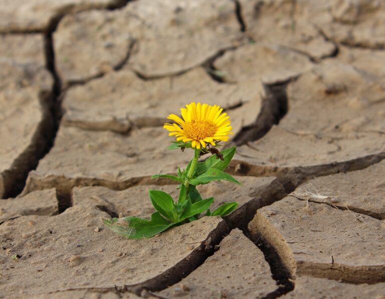 10 Simple Personal Development Tips to Improve Your Life